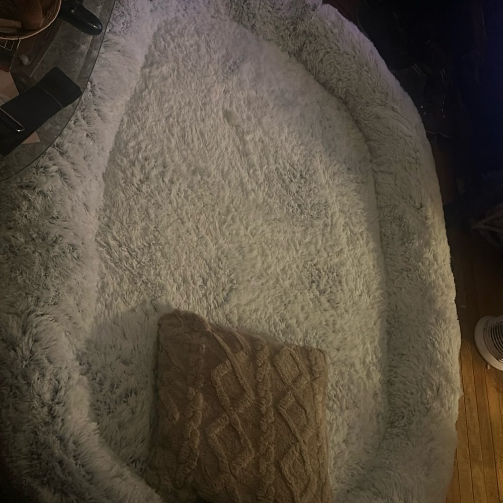 Human dog bed